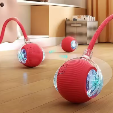 PawzyPlay