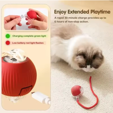 PawzyPlay