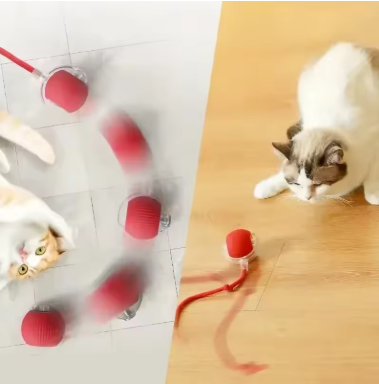 PawzyPlay